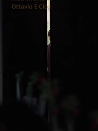 Troppo Tardi, Boss - Episode 25