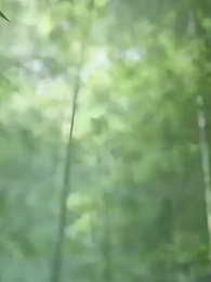 [Doblado]Después de Destruir el Templo Vigía - Episode 44