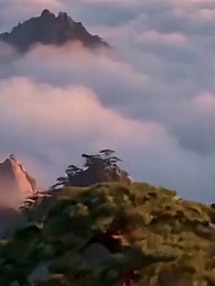 Episodio 38 - No Toque el Templo Vigía