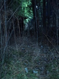 Episode 31 - Reborn in the 80s: My Fortune-Teller Wife