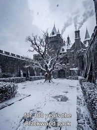 Episode 1 - The Silver Judged His Betryal