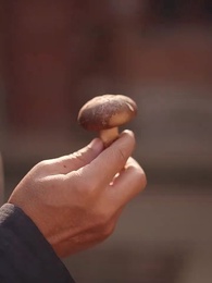 Episode 50 - Reborn in the 80s: My Fortune-Teller Wife