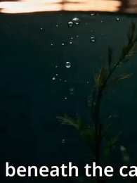 The Eastern Phoenix - Episode 28