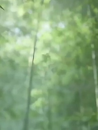 No Toque el Templo Vigía - Episode 44