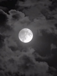 Épisode 39 - [Doublé]La Vraie Reine des Pom-Pom Girls