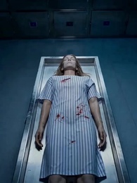 Серия 12 - Месть с родильной койки