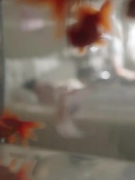 8화 - 연애 말고 결혼부터 할 까요?