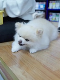 Numbers Don't Lie, People Do - Episode 42