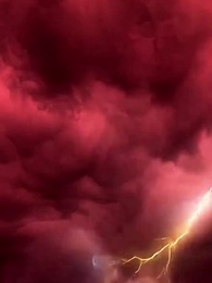 開局一條蛇，無限進化 - Episode 71