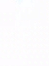 第51集 - 開局一條蛇，無限進化