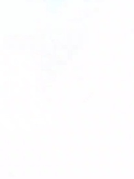 Episode 51 - Infinite Evolution of the Serpent