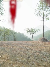 ตอนที่ 54 - แค้นระหว่างเรา