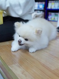 자본의 귀환 - Episode 42