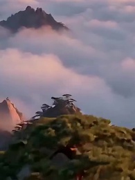 Episodio 38 - [Doblado]Después de Destruir el Templo Vigía