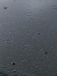 Episodio 10 - Da Reietta a Regina della Mafia