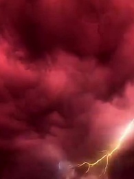 Episode 71 - [Dubbed] From Snake to Dragon