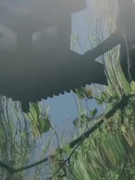 [Дубляж]Благодарность за сломанную юность - Episode 56