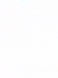 Episode 51 - [Dubbed] From Snake to Dragon