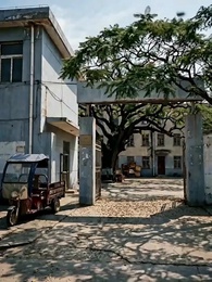 Episodio 39 - Otra Vida, a la Cumbre