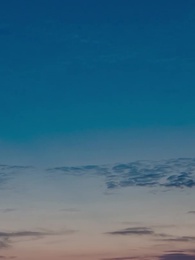 Episode 38 - Treasure Hunter: I Appraise Truth & Lies