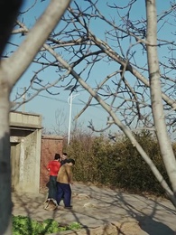 Chân Tình   Giữa Đời Thường Nhật - Episode 47