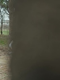 Chân Tình   Giữa Đời Thường Nhật - Episode 52