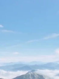 Dragon ? Mon chat fait mieux. - Episode 36