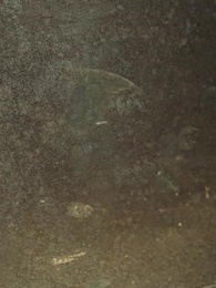 Dihina oleh Sahabat Masa Kecil Suami, Aku Takkan Diam - Episode 30