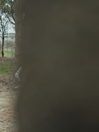 Fortuna para el hijo leal - Episode 52