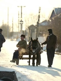 Episodio 33 - Rey del Monte