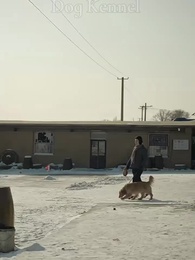 Episode 55 - Village Drama, No Filters