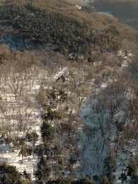 Episodio 7 - Rey del Monte