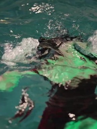 [Doblado]Arriba, Mi Señor Mafia - Episode 5