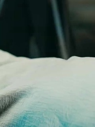 Episódio 42 - Helena e o Destino do Cordeiro