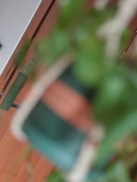 Episodio 8 - El Amor en Juego