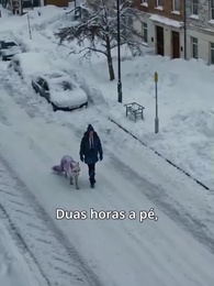 Mestra das Feras do Apocalipse - Episode 17