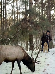 Rey del Monte - Episode 28