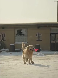 Village Drama, No Filters - Episode 56