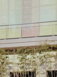 Mob Boss to National Treasure - Episode 62