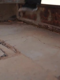 Episodio 27 - Fortuna para el hijo leal