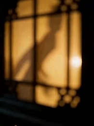 Episodio 1 - El Cachorro del Rey Lobo