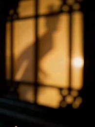 第1集 - 狼王殿下，王妃懷著狼崽又跑了