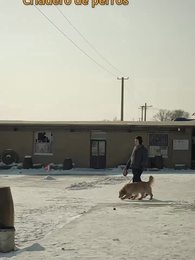 Rey del Monte - Episode 55