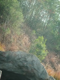 Secrets of Cloudvale - Episode 73