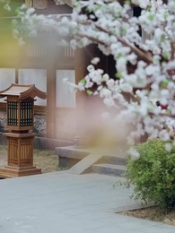 Tập 62 - Ác Nữ Xoay Chuyển   Hoàng Đồ