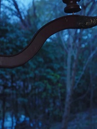 獸戲金枝折玉葉 - Episode 17