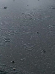 Bölüm 10 - Dışlanmış Kraliçe