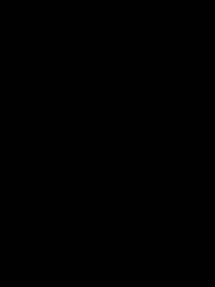 Episodio 46 - [Doppiato]Supermercato delle Anomalie: L'Impero nel Caos