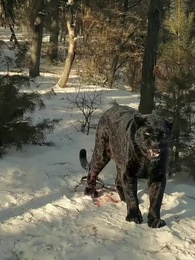 Episode 8 - Village Drama, No Filters