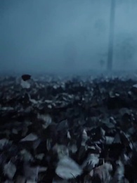 The Arcane Order Elder  Takes Me Antiquing - Episode 8